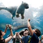 Pittsburgh Zoo & Aquarium