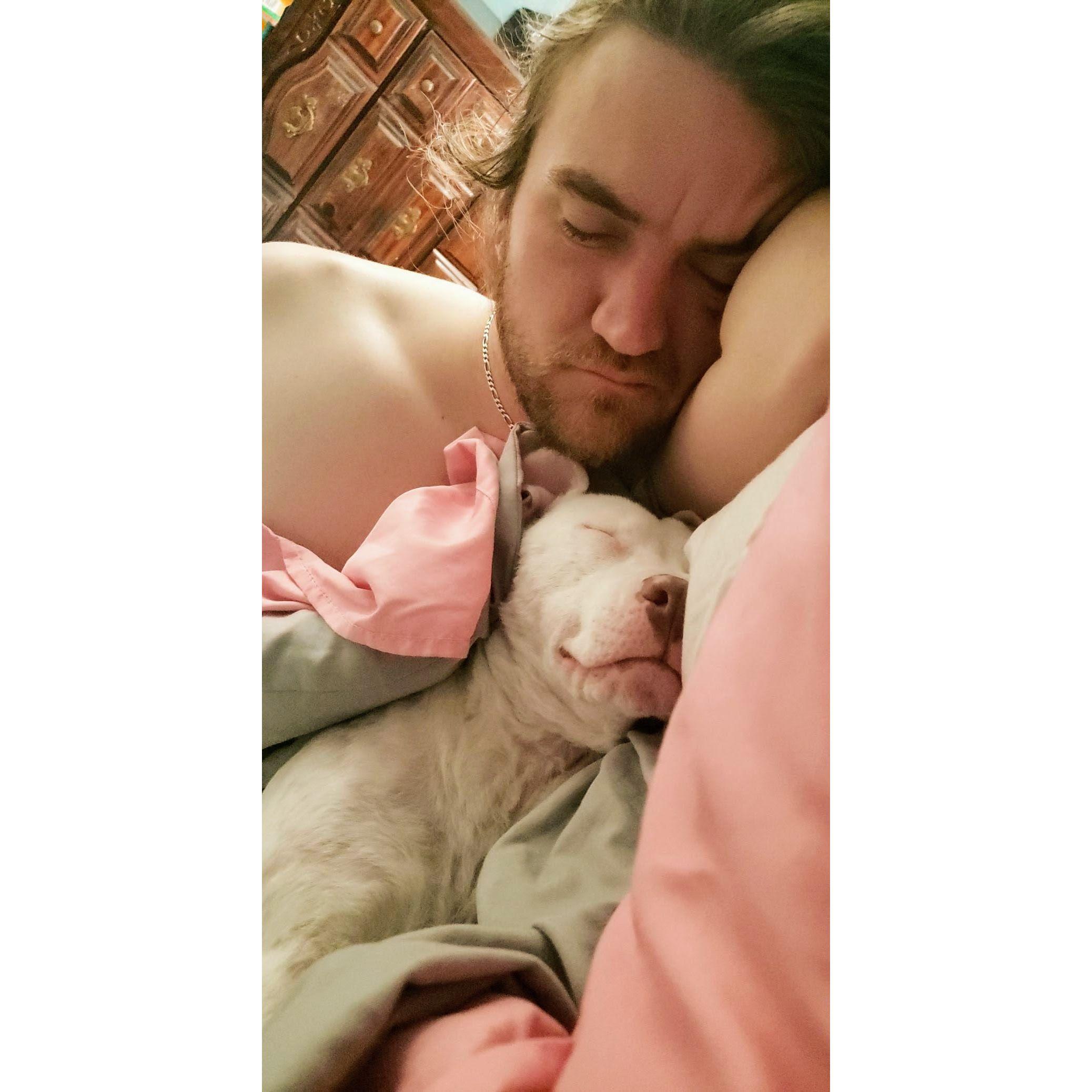 Getting back to Lola, the center of our life. Immediately upon arrival, she took over our lives. She loves LOVES cuddles.