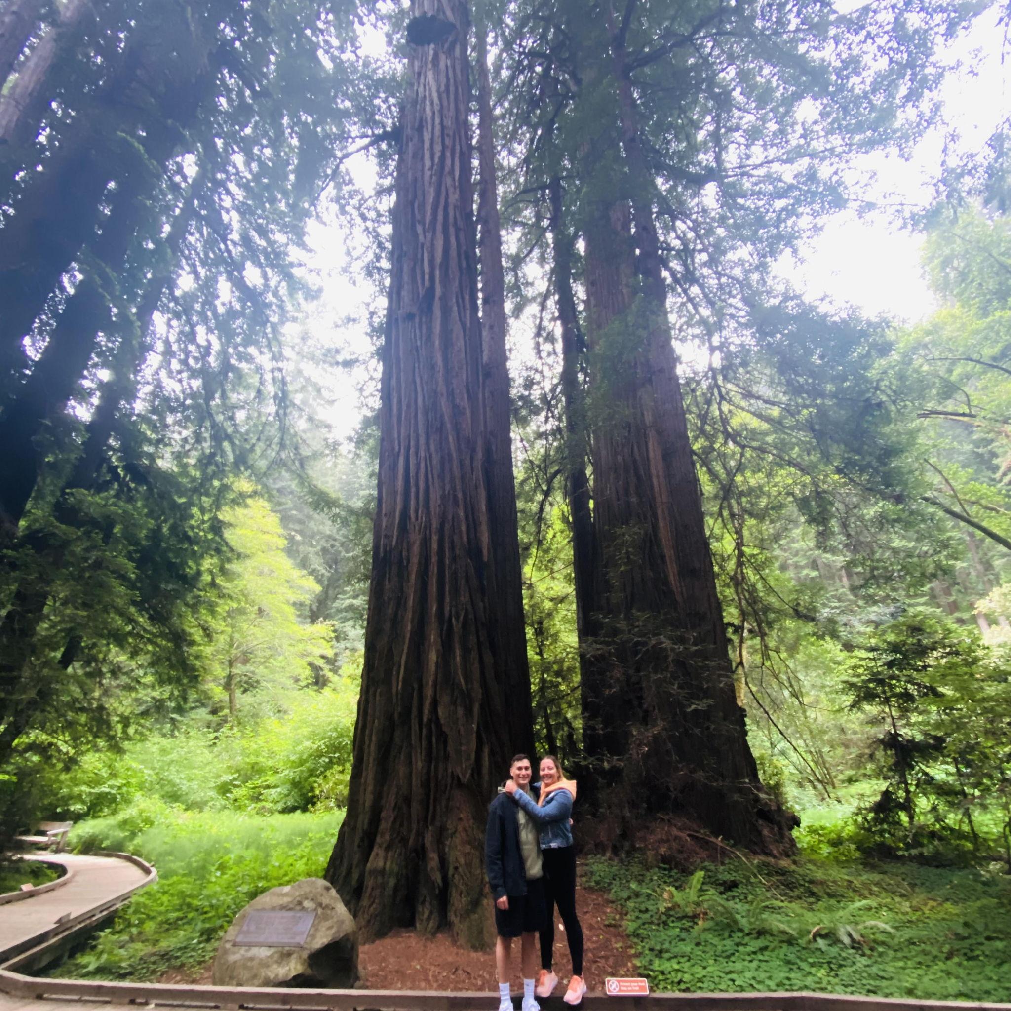 Muir Woods CA May 2022