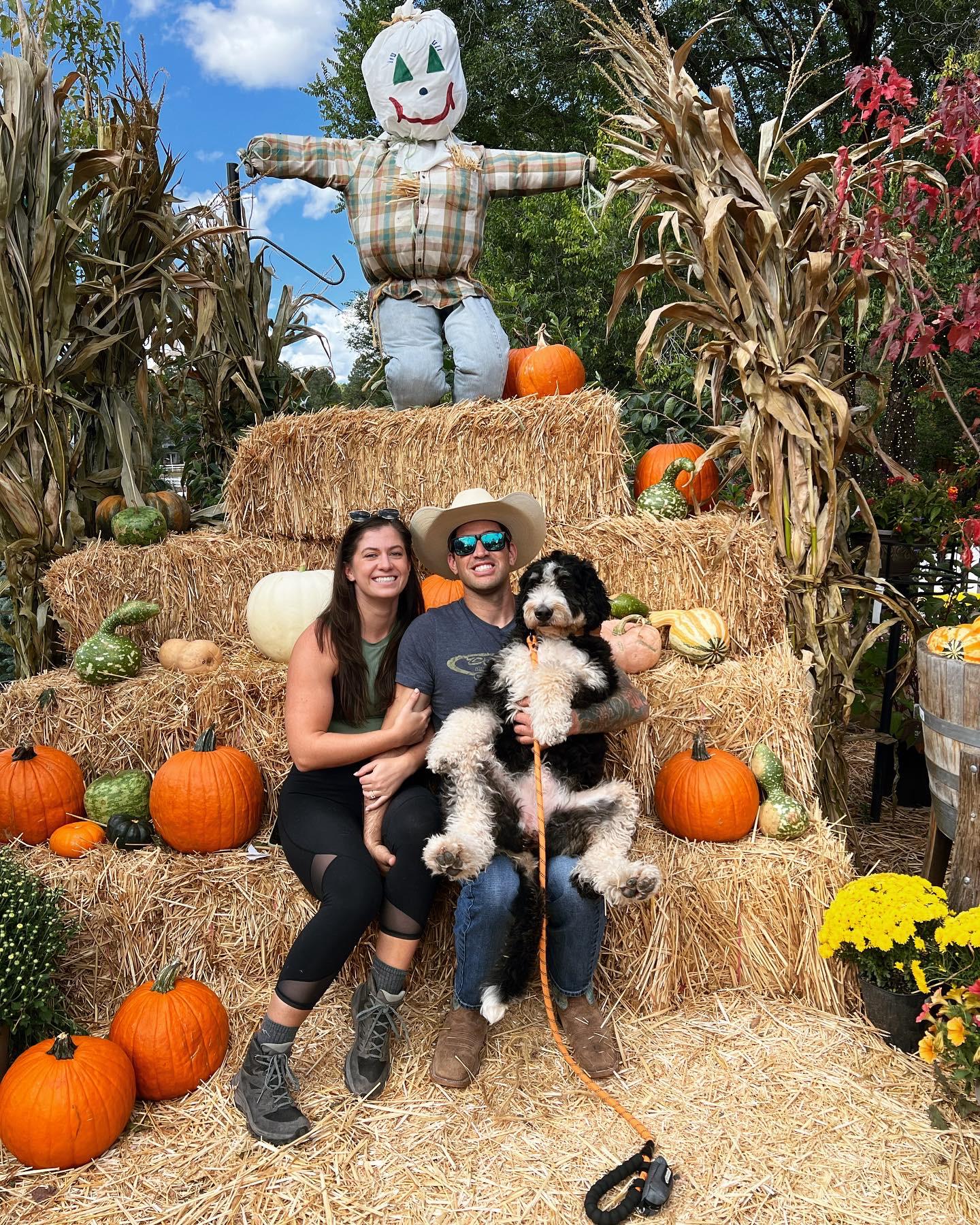 Pumpkin patch 2022