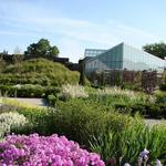 Toronto Botanical Garden