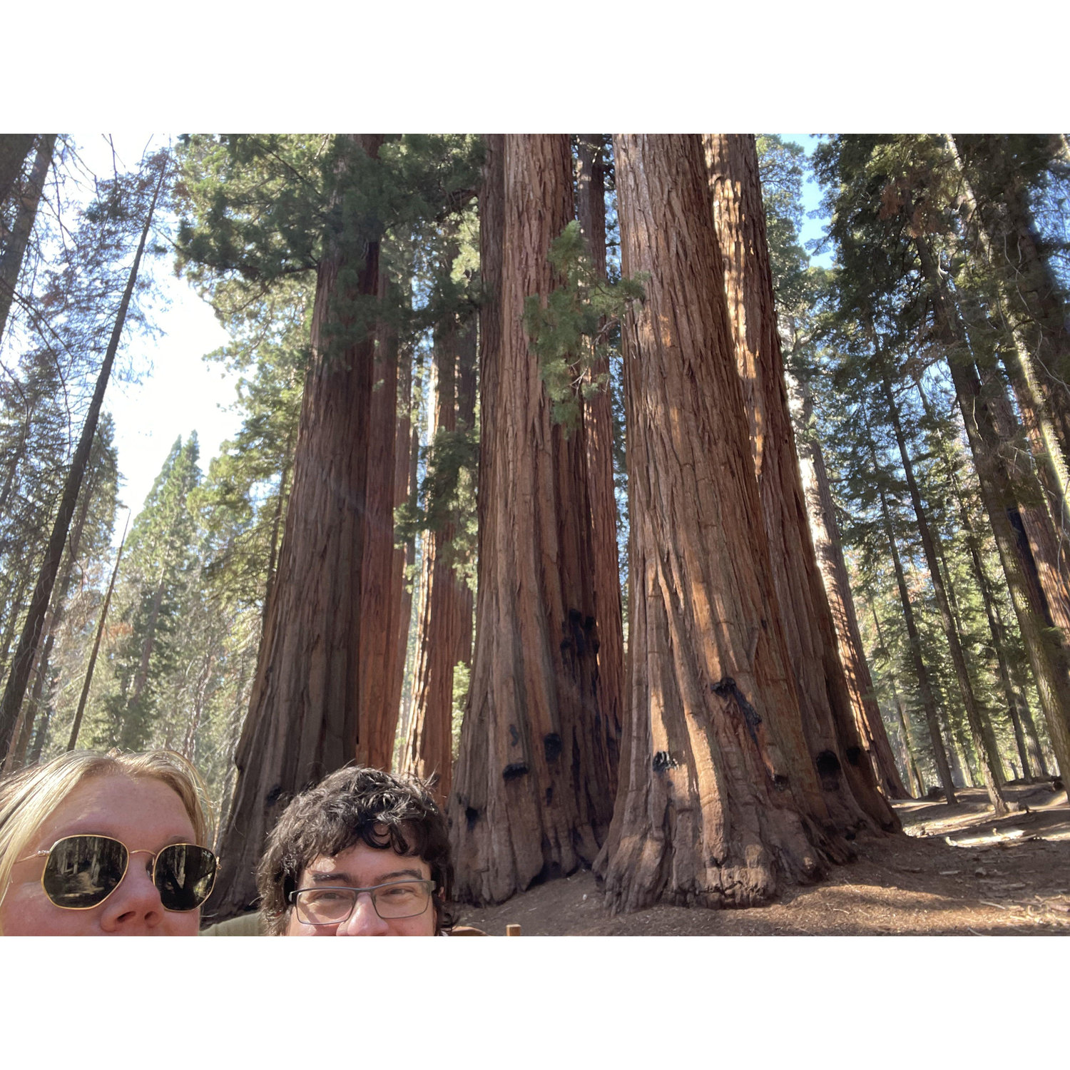 4th Anniversary - Sequoia National Park (may be Amelia's favorite place)