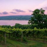 Finger Lakes Wine Trails