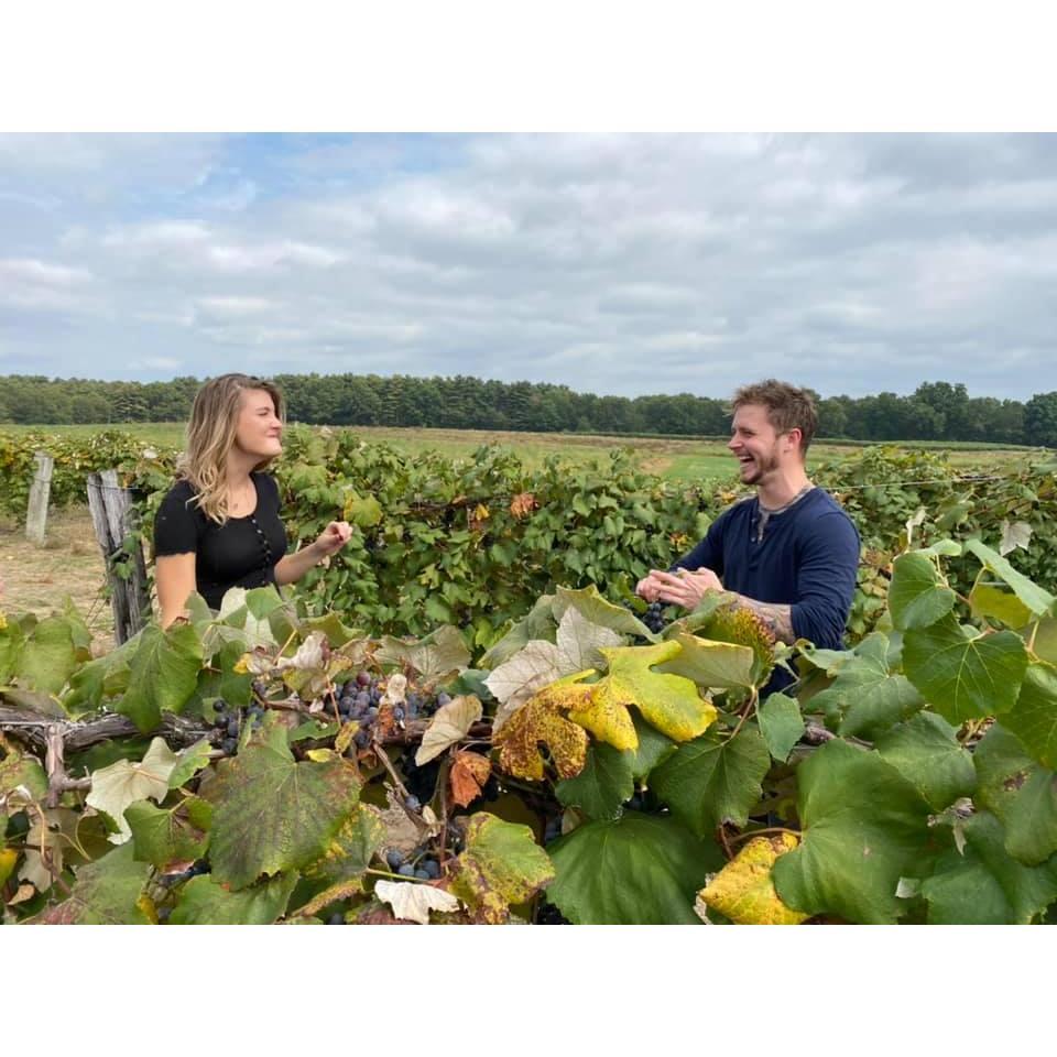 Grape picking (Bryce said something super sweet)