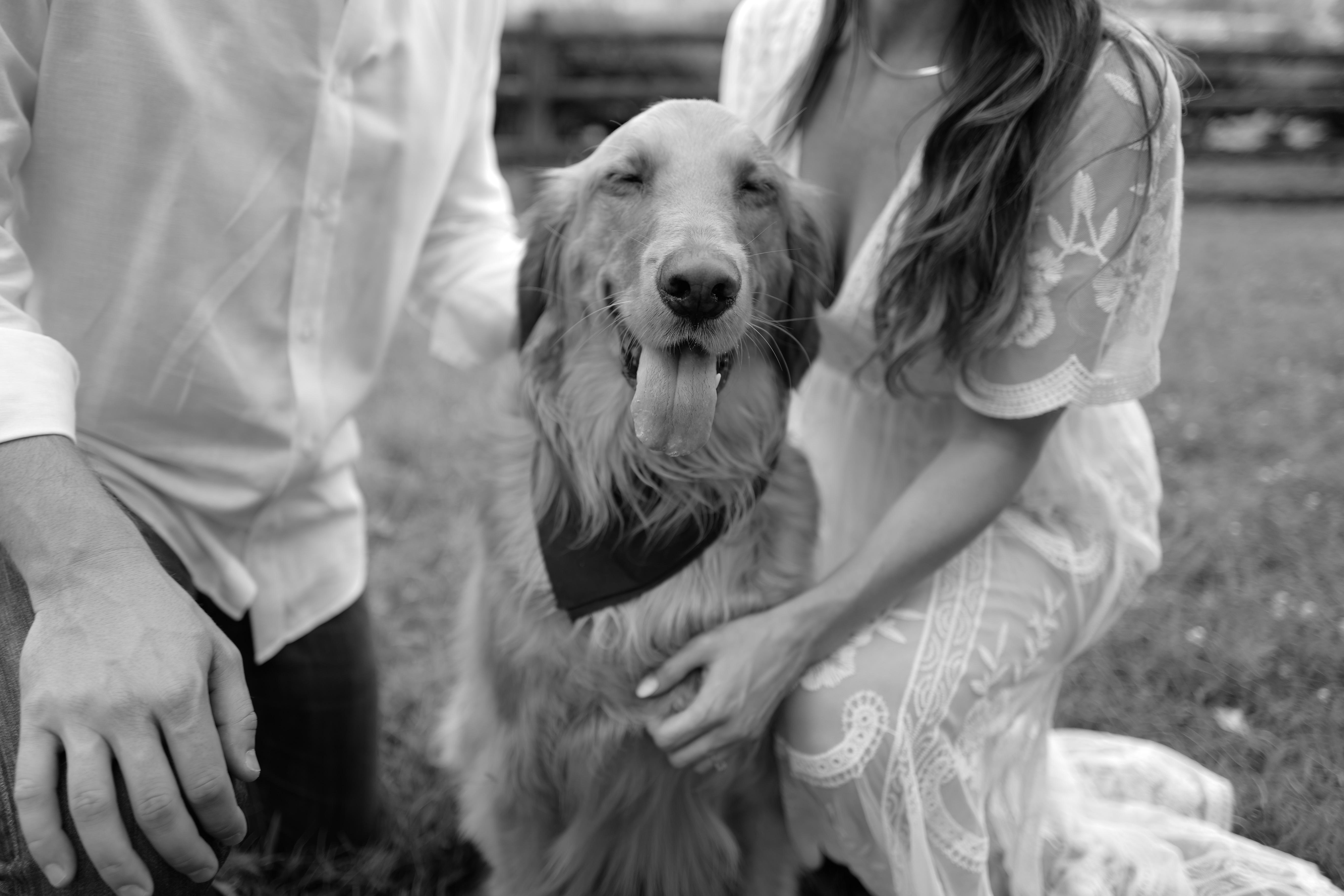 The Wedding Website of Caitlin Glasgow and Carsten Bick