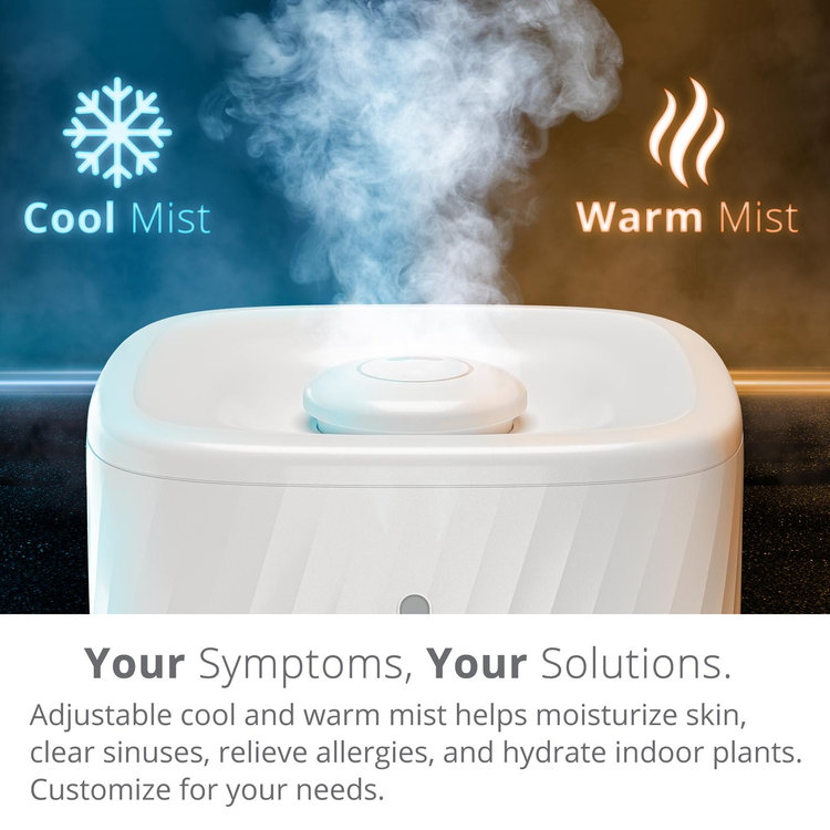 Miko, Myst Ultrasonic Humidifier | Zola