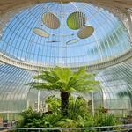 Glasgow Botanic Gardens (Glasgow)