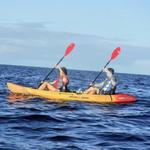 4-hours Ocean Kayak Tours from Hawaii