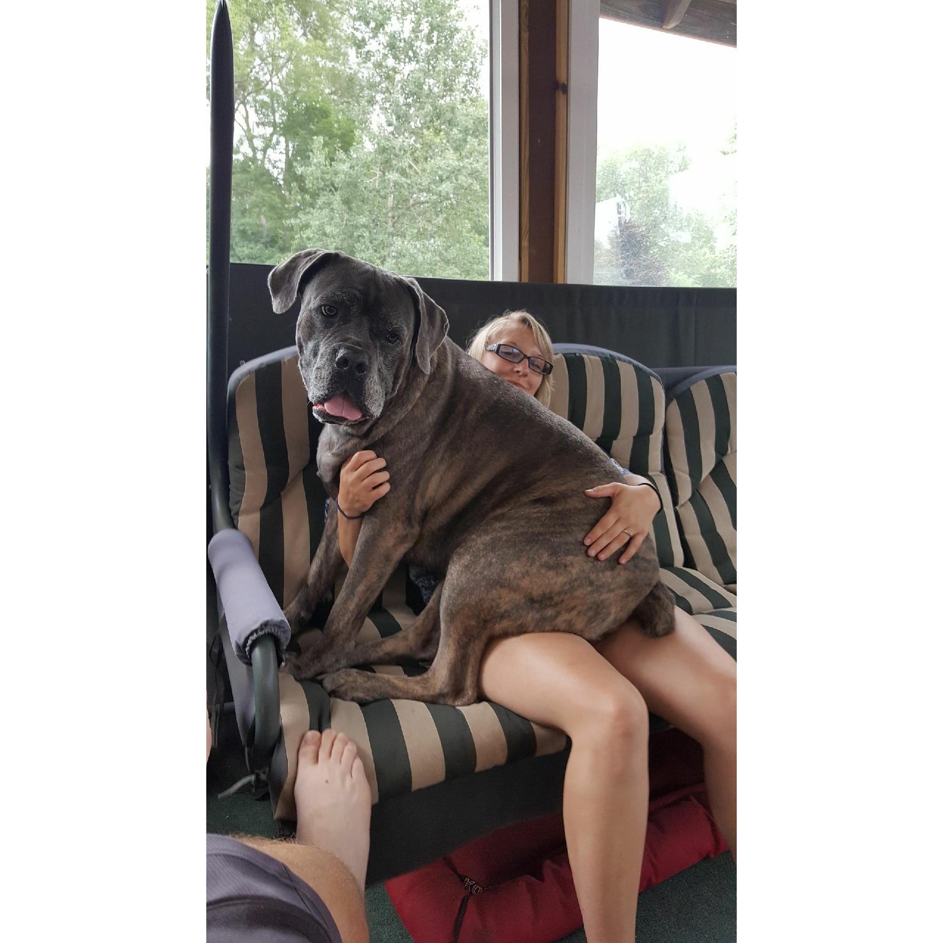 My lap Dog.. mama's boy