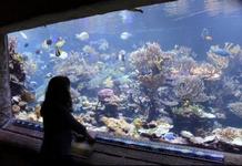 Riverhead Aquarium