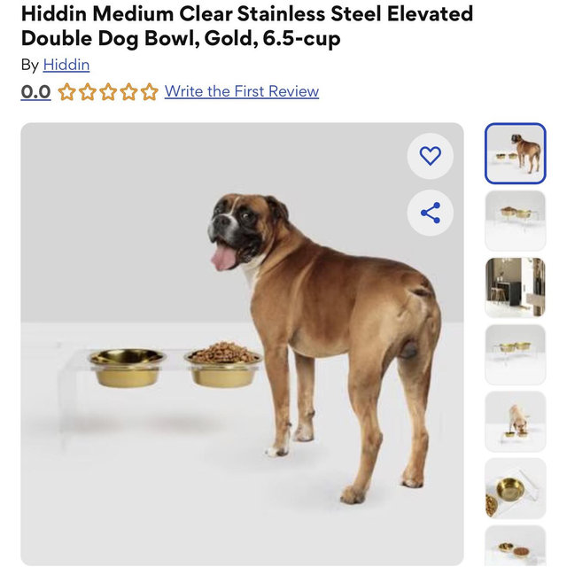 Hiddin Medium Clear Stainless Steel Elevated Double Dog Bowl, Gold