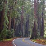 Helpful Guide to Mendocino