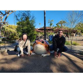 3 toads at the zoo.