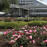 Norfolk Botanical Garden