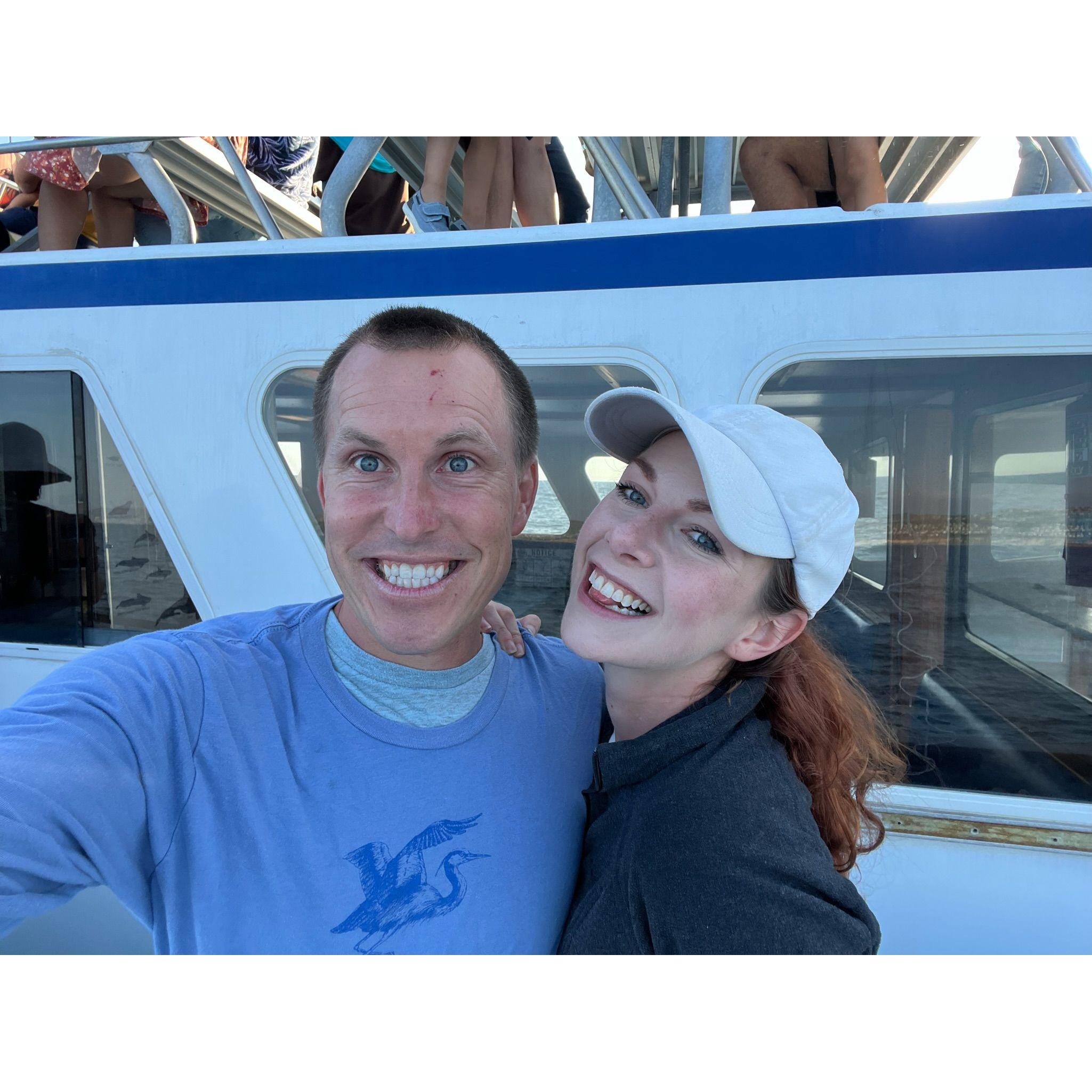 Whale watching! Actually, more like dolphin watching.