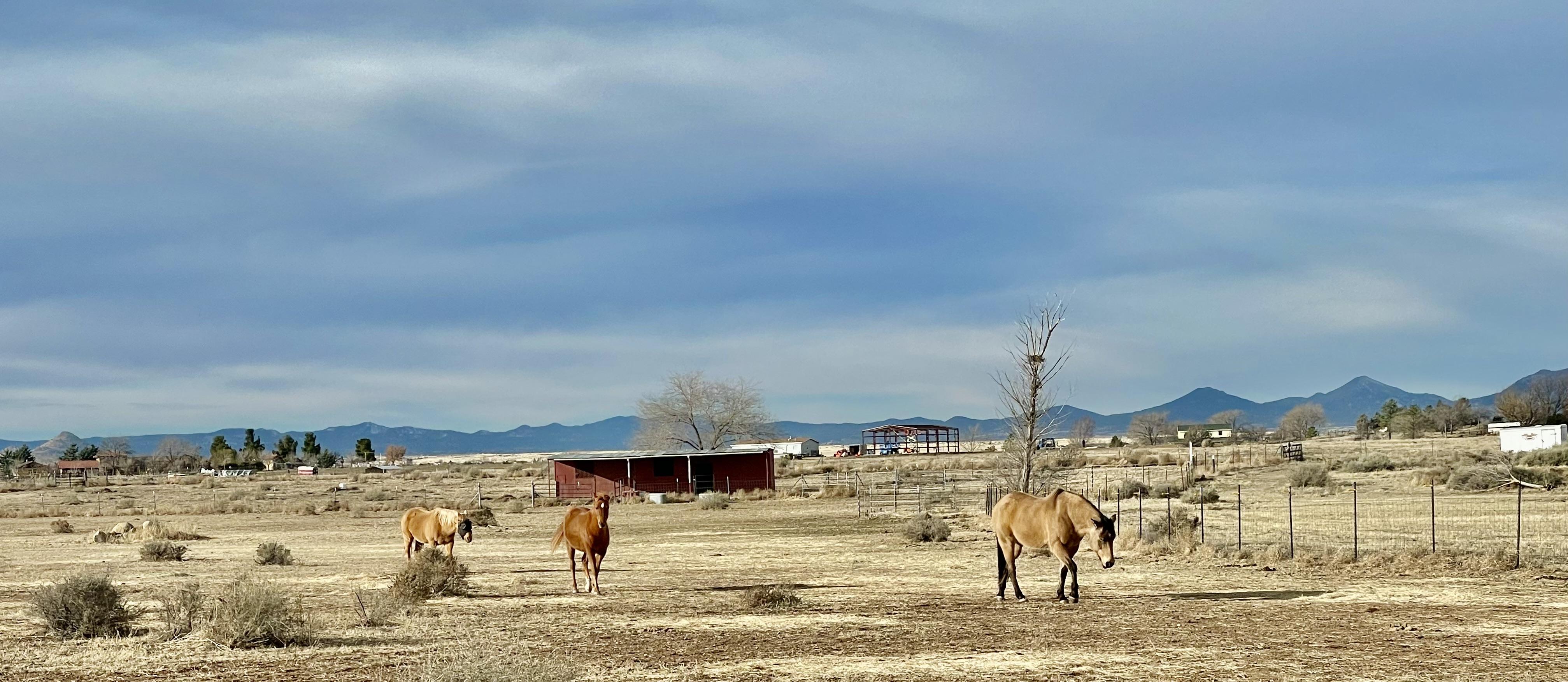 The Wedding Website of Mackenzie Prince and Trevor Eastin