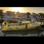 Sea Screamers of Clearwater