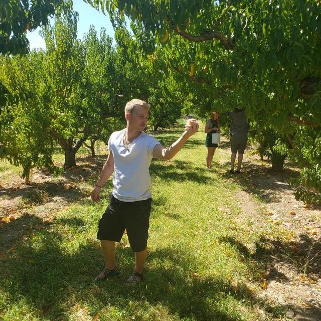 Fruit Tree Fund