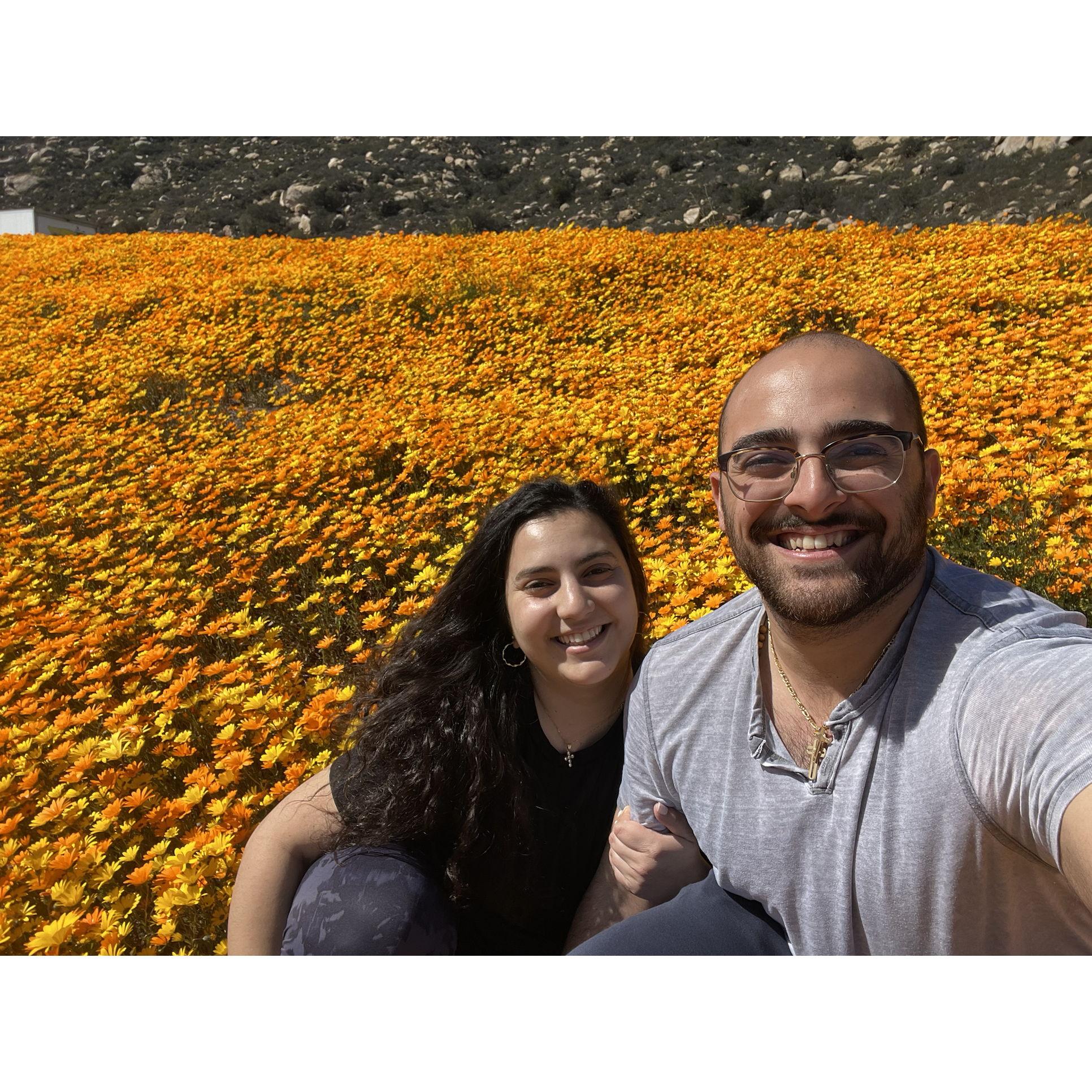 Some wildflowers we saw off the interstate and decided to have a quick stop! - 2023