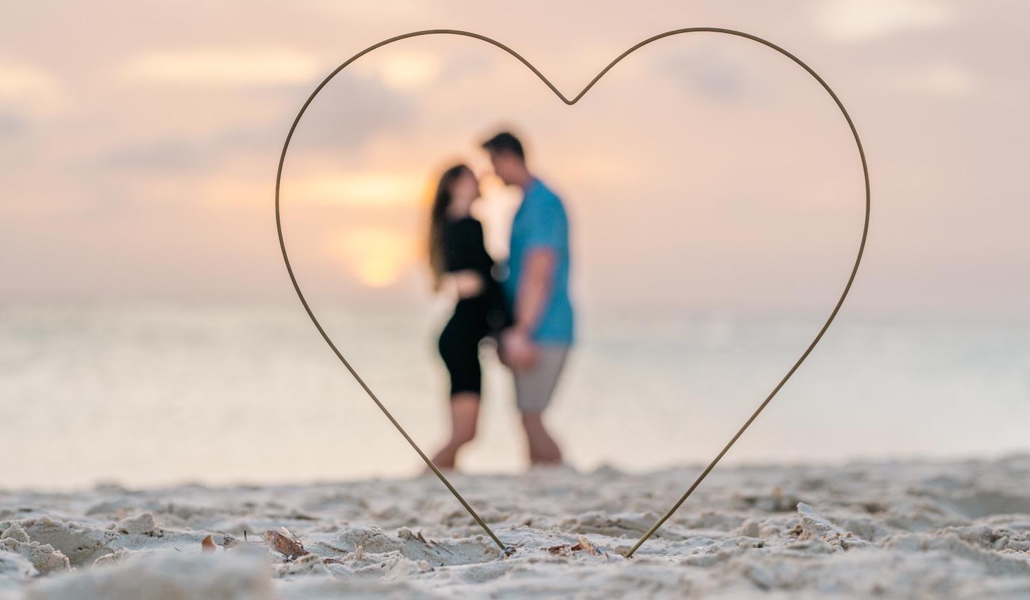 The Wedding Website of Alyssa Schlieff and Brian McGahan