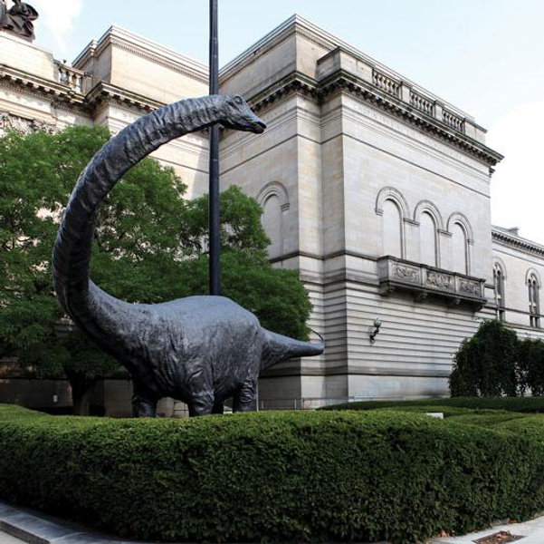 Carnegie Museums Membership