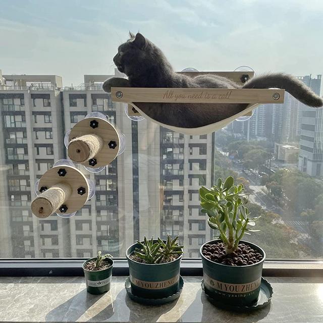 Cat Window Perch/Hammock, Cat Climbing Steps Window Mounted, Cat Scratching Post for Windows (Perch and Steps)