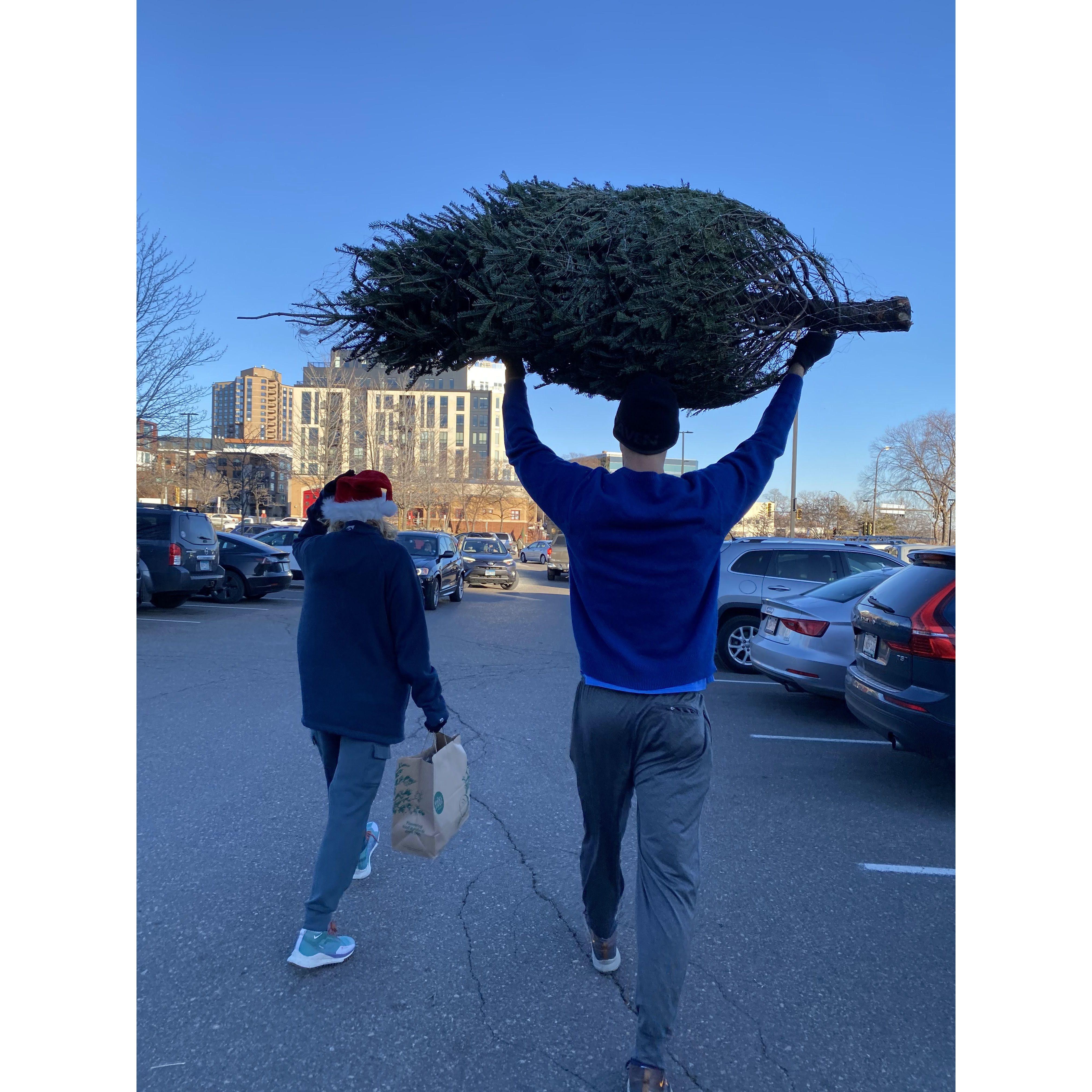 Chris carrying their christmas tree home. Rachel found this very attractive.
