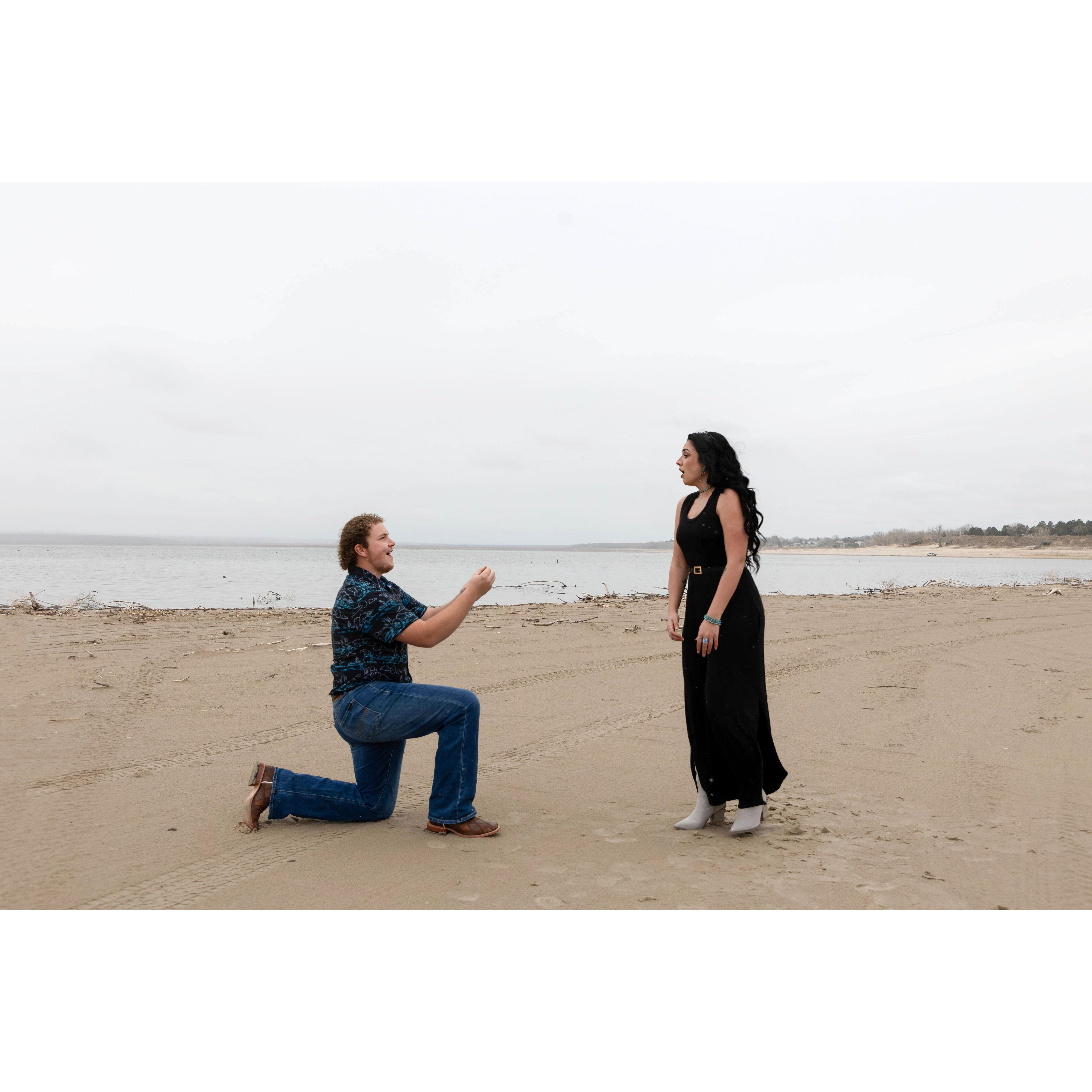 (Start Josh's proposal speech)