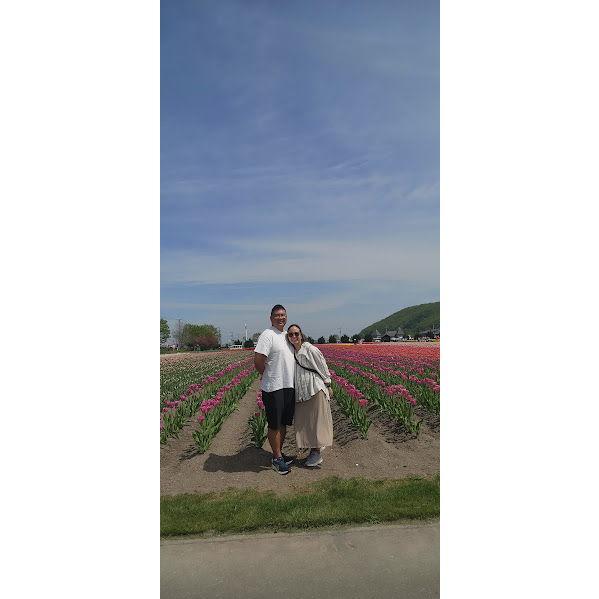 Taken from recent Japan trip this year in Hokkaido, Japan. Tulips in Kamiyubetsu