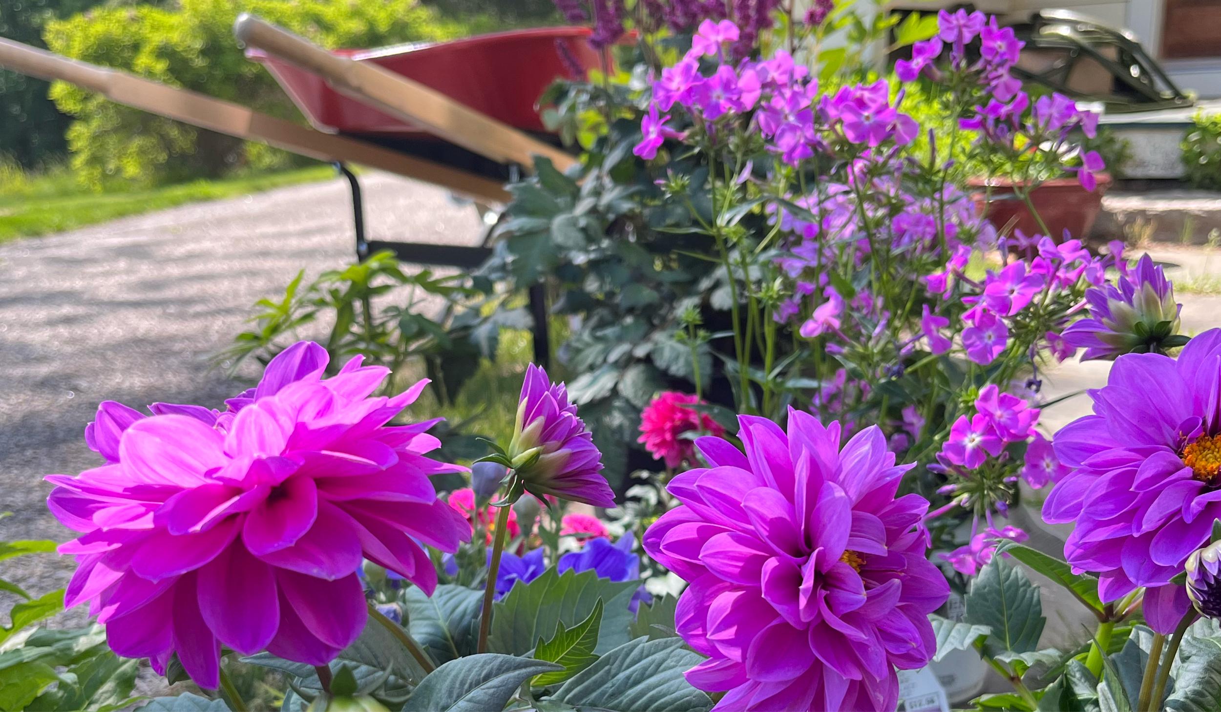 965624d1-72b9-43d6-8c23-7704b84d9f8f