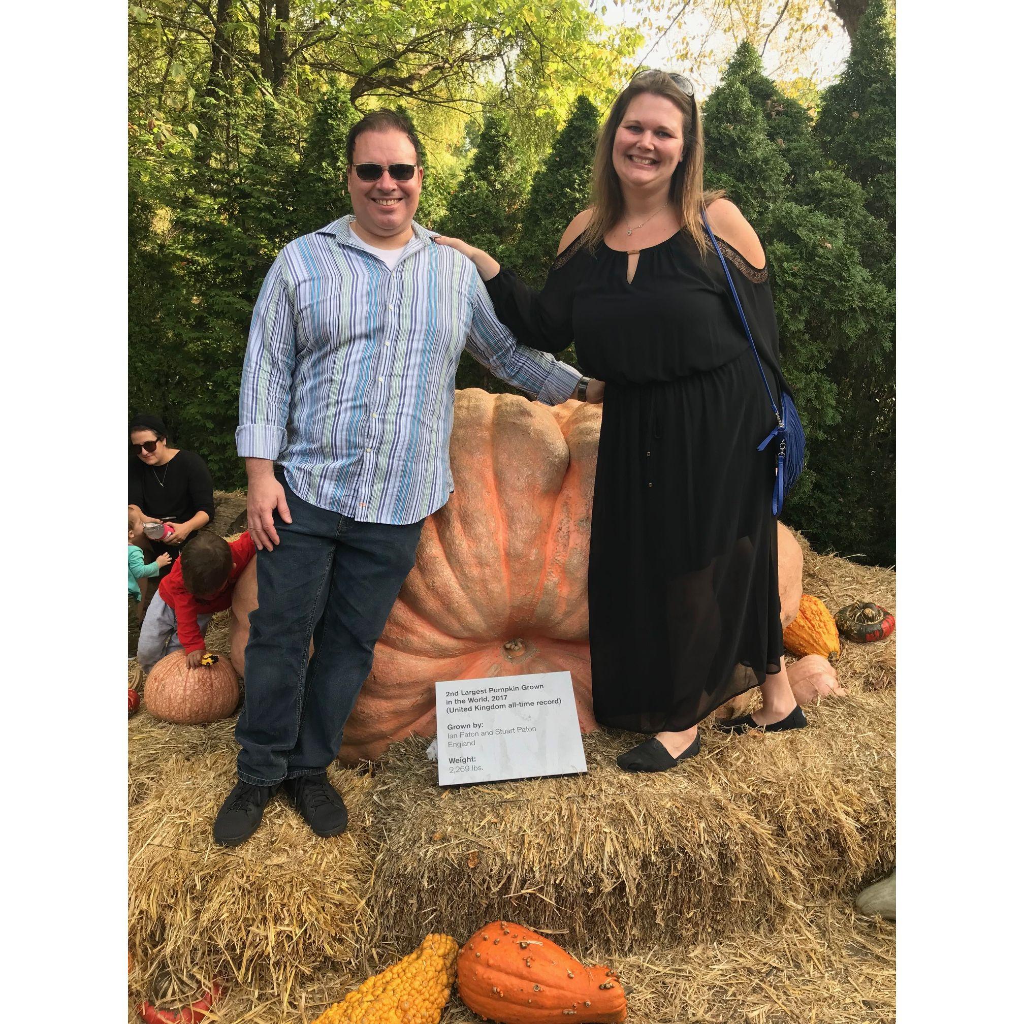 Autumn vibes at the NY Botanical Garden in the Bronx.