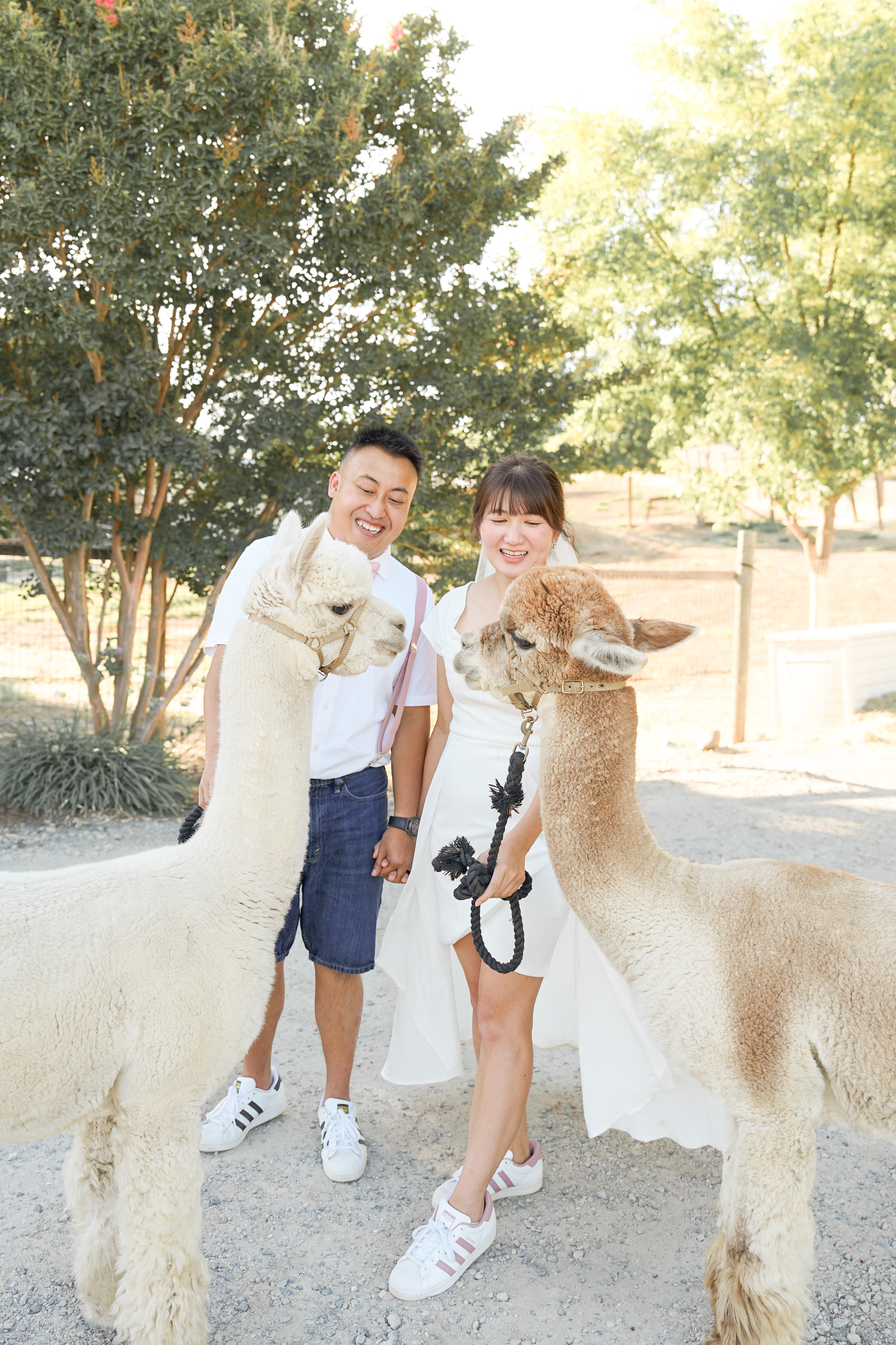 The Wedding Website of Billy Leung and Sukey Yip