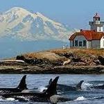San Juan Islands