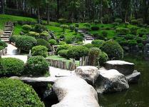 Bosque Los Colomos