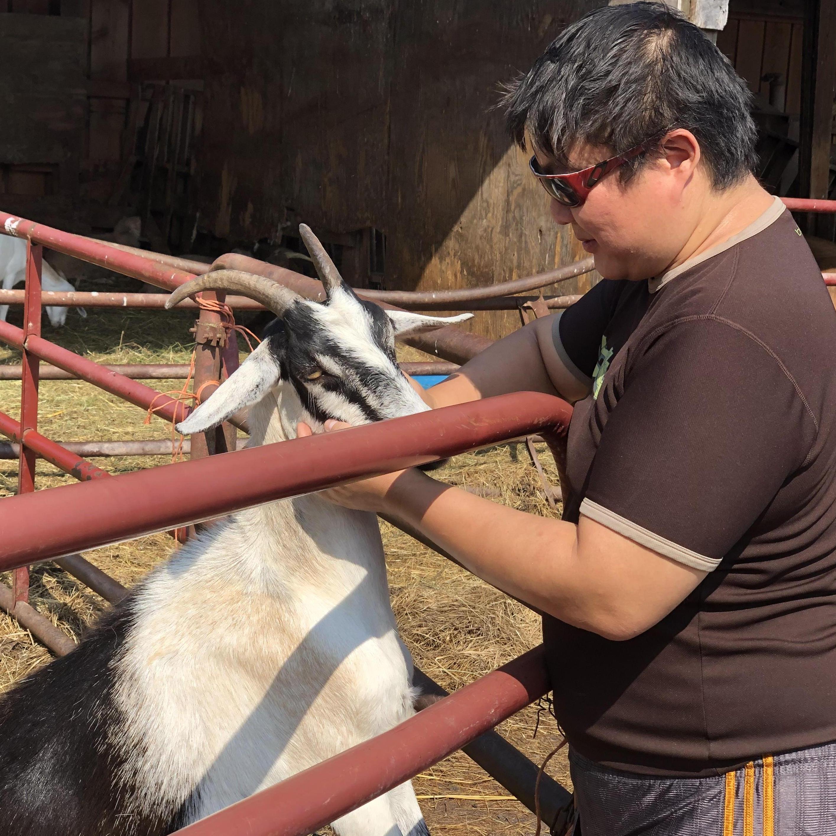 Farm life