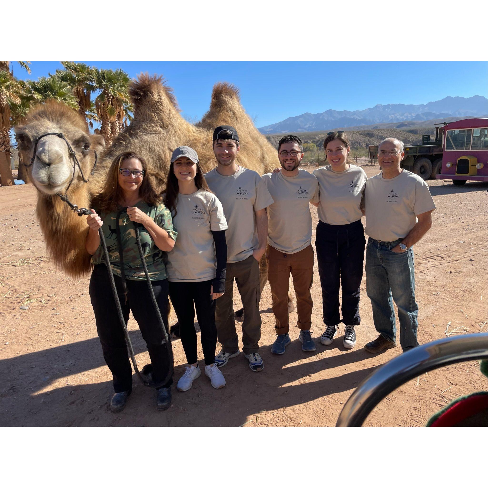 Meeting and riding the camels in Vegas with Alex's fam, November 2022