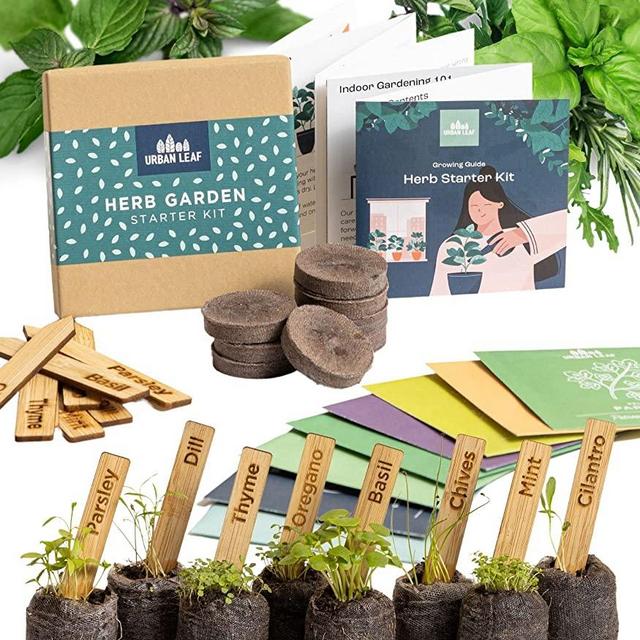 Indoor Herb Garden Starter Kit - Soil Starter Discs, Compact Herb Seed Varieties, Bamboo Labels and Detailed Instructions - DIY Kitchen Grow Kit for Growing Herb Seeds Indoors