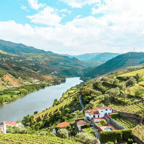 Wine Cruise & Lunch in Douro Valley