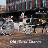 The Old Market