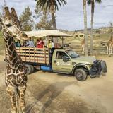San Diego Zoo
