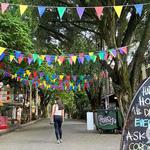 Wander, shop & sip in El Poblado