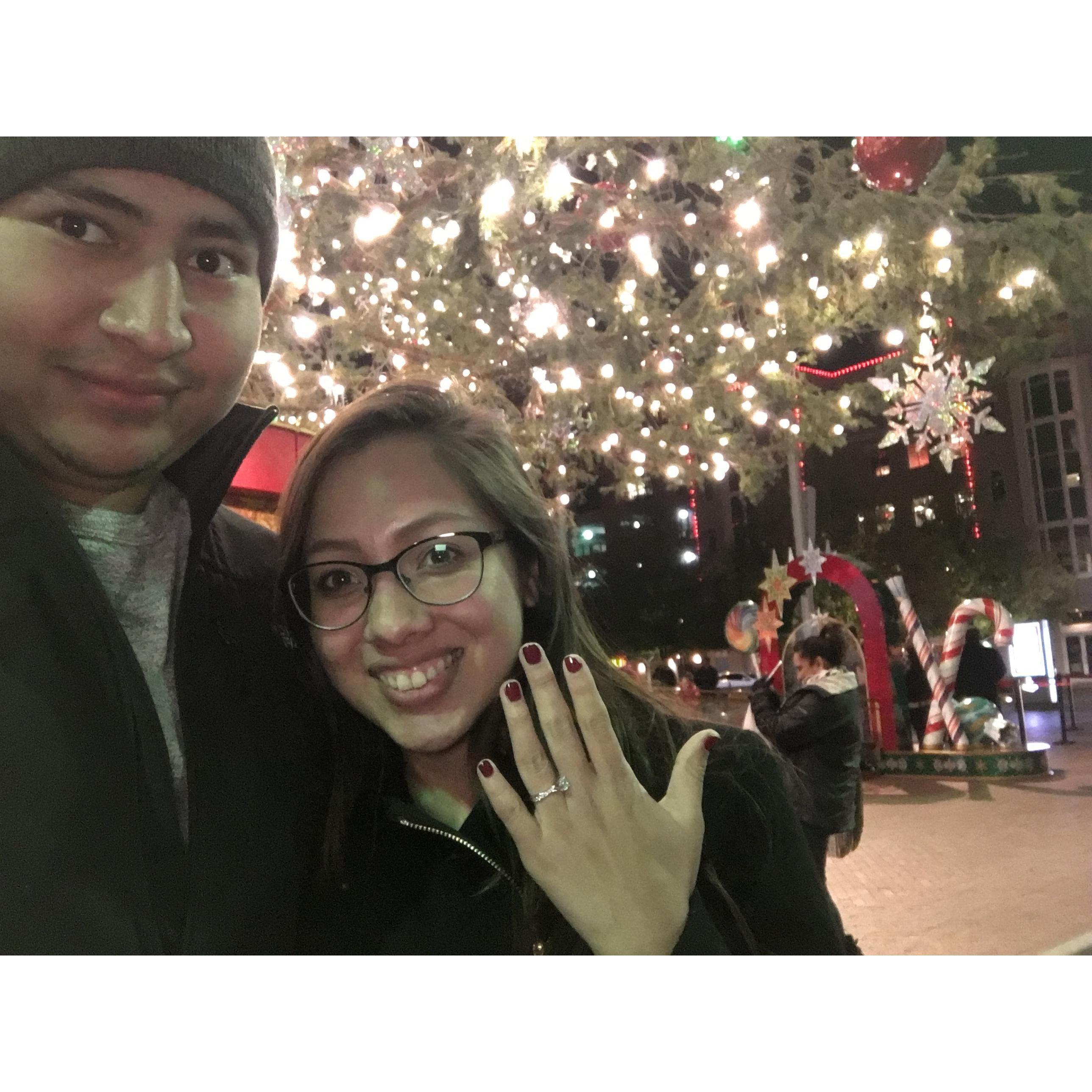 She said "Yes" at Sundance Square under the Christmas Tree.