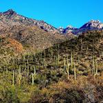 Mount Lemmon