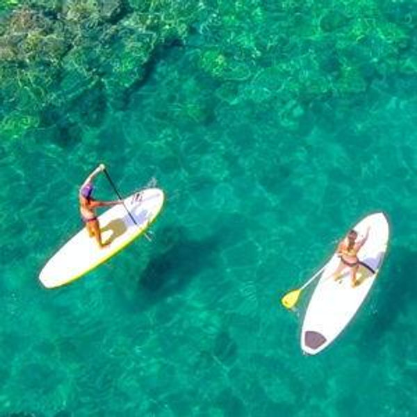 Stand Up Paddleboard Excursion