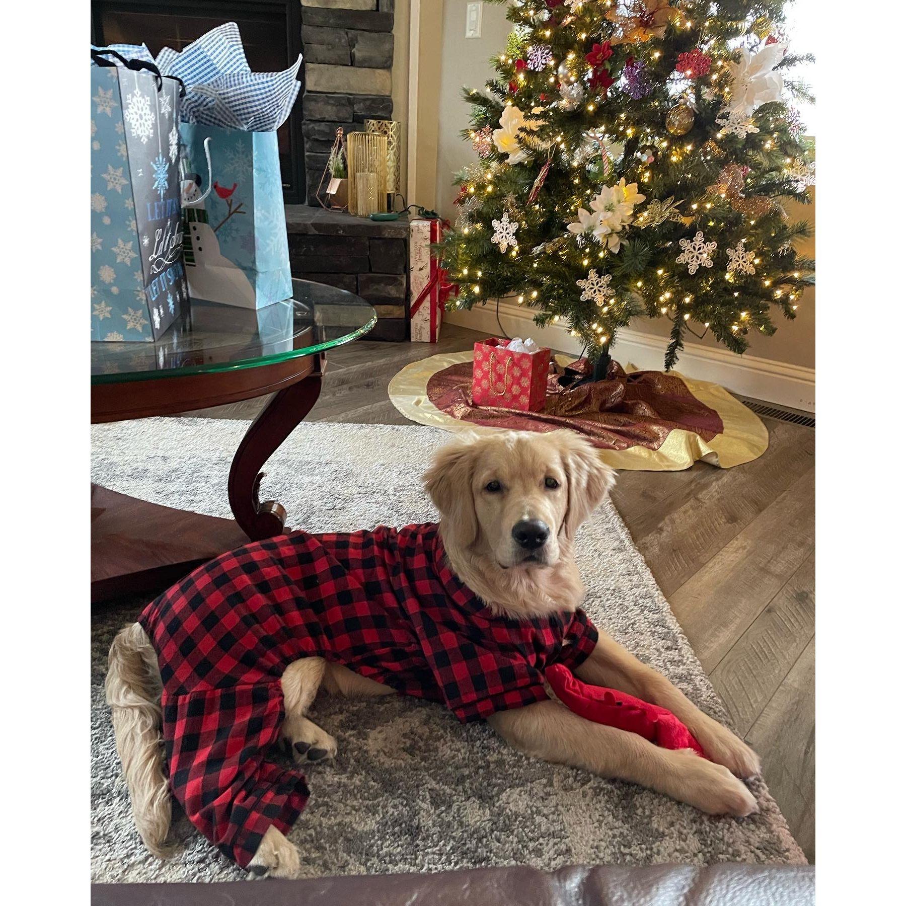 DECEMBER 25, 2021 - 
Corbin's first Christmas!