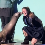 Mystic Aquarium