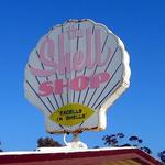 The Shell Shop