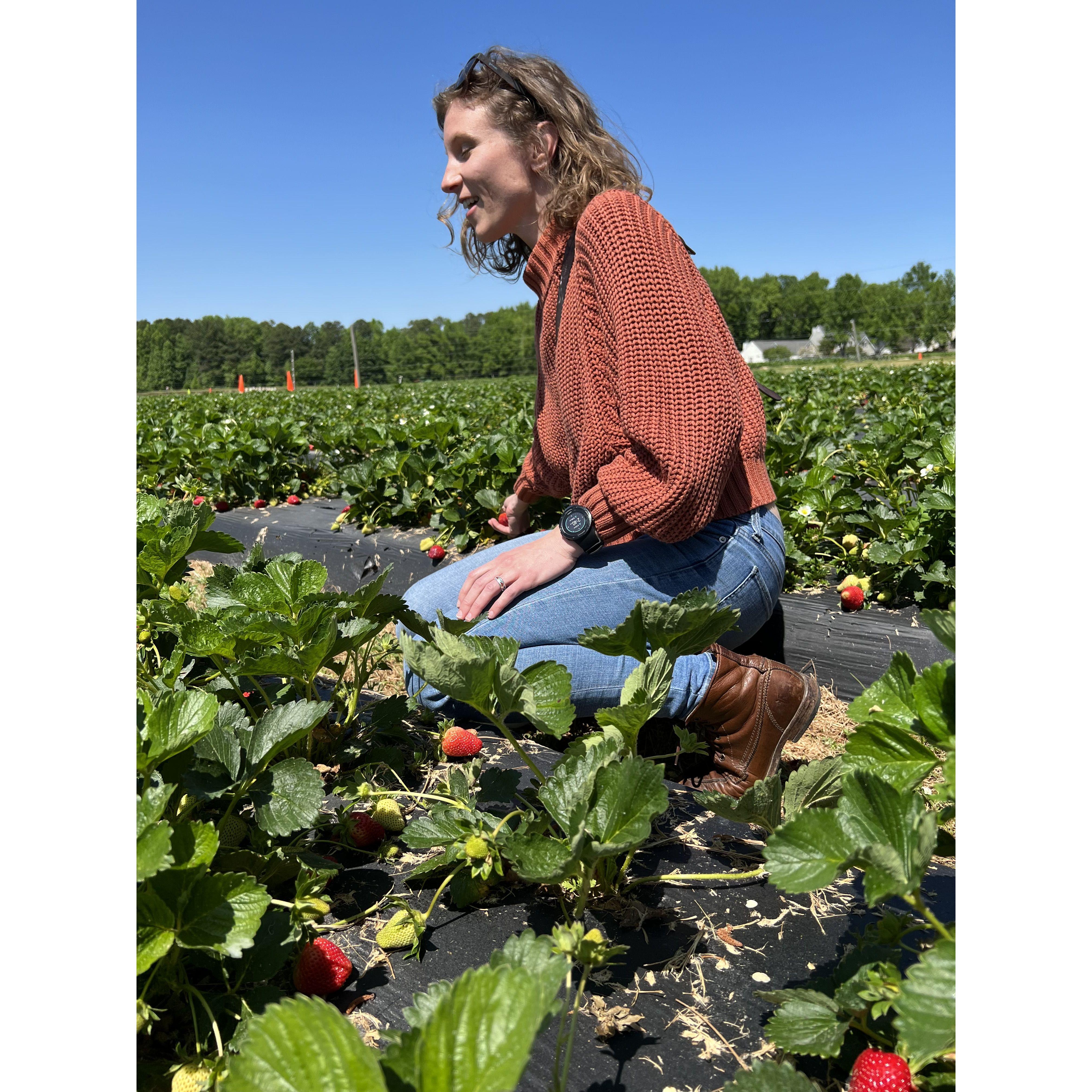 first dates strawberry picking