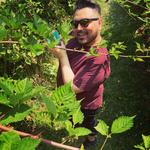 Hood River Fruit Loop