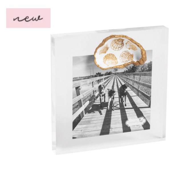 Acrylic Gold Shells Oyster Frame
